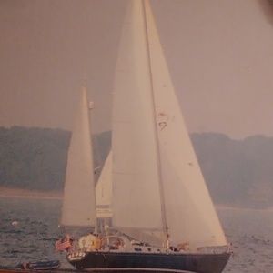 Meet your Posher, Dolores